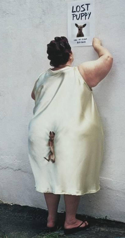 articles: LostPuppy2.jpg articles: LostPuppy2.jpg